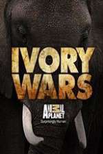 Watch Ivory Wars Afdah