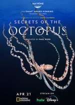 Secrets of the Octopus afdah