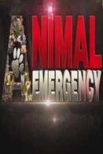 animal emergency tv poster
