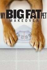 Watch My Big Fat Pet Makeover Afdah