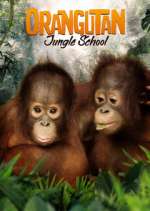 Watch Orangutan Jungle School Afdah