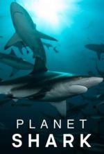 Watch Planet Shark Afdah