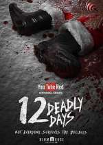 12 deadly days tv poster