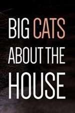 Watch Big Cats About the House Afdah