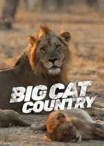 Watch Big Cat Country Afdah