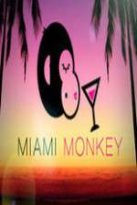 Watch Miami Monkey Afdah