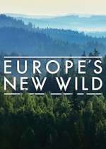 Watch Europe's New Wild Afdah