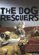 Watch The Dog Rescuers with Alan Davies Afdah