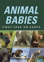 Watch Animal Babies: First Year on Earth Afdah