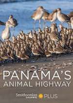 Watch Panama's Animal Highway Afdah