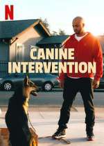 Watch Canine Intervention Afdah