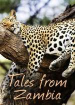 Watch Tales from Zambia Afdah