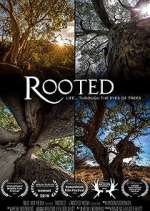Watch Rooted Afdah
