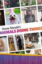 Watch Howie Mandel\'s Animals Doing Things Afdah