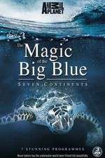 Watch The Magic of the Big Blue Afdah