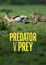 Watch Predator v Prey Afdah