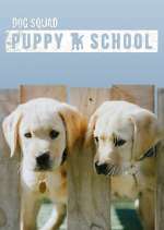 Watch Dog Squad: Puppy School Afdah