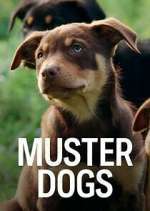 Watch Muster Dogs Afdah