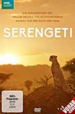 Watch Serengeti Afdah