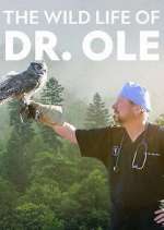 Watch The Wild Life of Dr. Ole Afdah