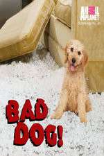 Watch Bad Dog! Afdah