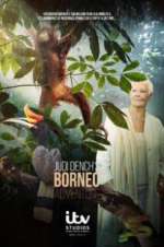 Watch Judi Dench\'s Wild Borneo Adventure Afdah