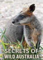 Watch Secrets of Wild Australia Afdah