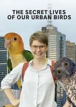 Watch The Secret Lives of Our Urban Birds Afdah