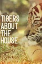Watch Tigers About the House Afdah