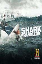 Watch Shark Wranglers Afdah