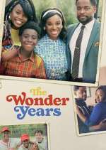 Watch The Wonder Years Afdah