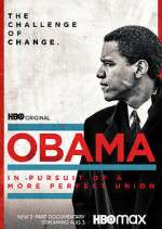 Watch Obama: In Pursuit of a More Perfect Union Afdah