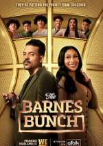Watch The Barnes Bunch Afdah