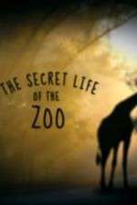 Watch The Secret Life of the Zoo Afdah