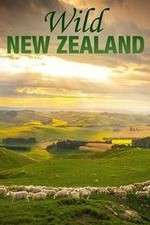 Watch Wild New Zealand Afdah
